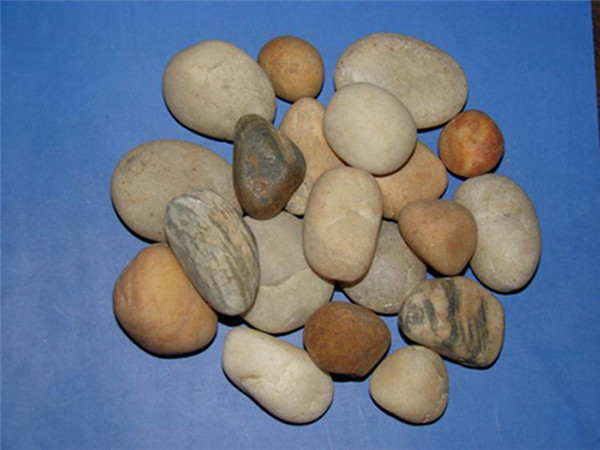 午夜天堂精品久久久久